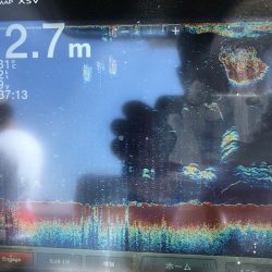 Chase(チェイス) 釣果