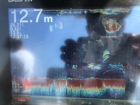 Chase(チェイス) 釣果