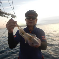 きずなまりん 釣果