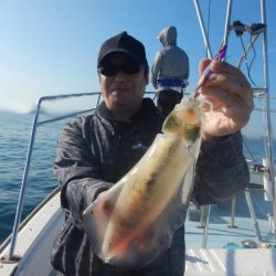 きずなまりん 釣果