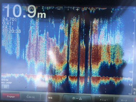 Chase(チェイス) 釣果