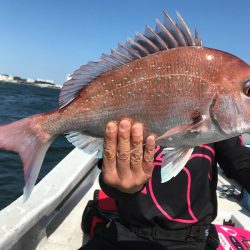 ランスルー 釣果