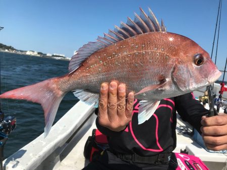 ランスルー 釣果