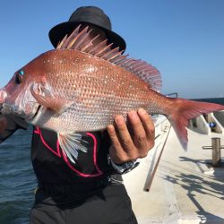 ランスルー 釣果