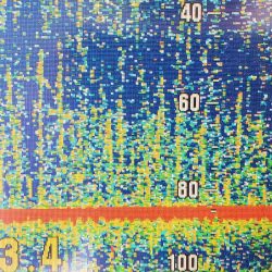 サンマリン 釣果