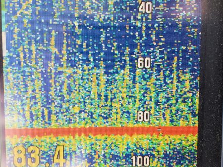 サンマリン 釣果