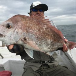 ランスルー 釣果