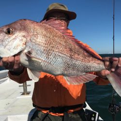 ランスルー 釣果