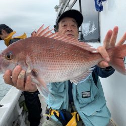 ランスルー 釣果