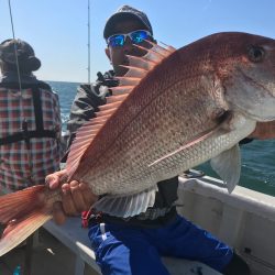 ランスルー 釣果