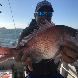 ランスルー 釣果