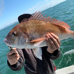 ランスルー 釣果