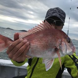 ランスルー 釣果