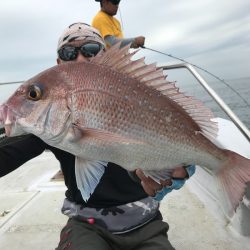 ランスルー 釣果