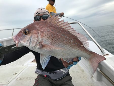 ランスルー 釣果