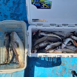 さち丸 釣果