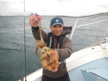 きずなまりん 釣果