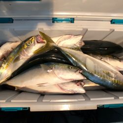 第二八坂丸 釣果