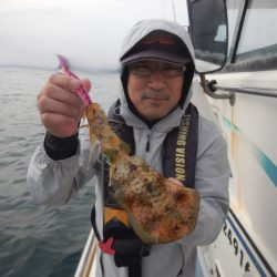 きずなまりん 釣果