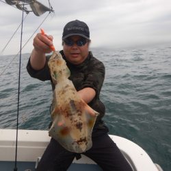 きずなまりん 釣果