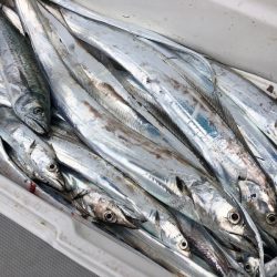 Chase(チェイス) 釣果