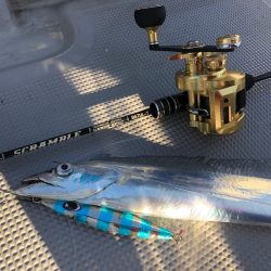 Chase(チェイス) 釣果