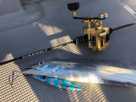 Chase(チェイス) 釣果