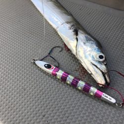 Chase(チェイス) 釣果