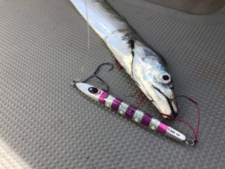 Chase(チェイス) 釣果