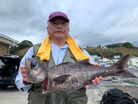晃山丸 釣果