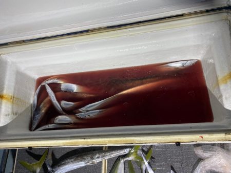 Monster Rush! 釣果