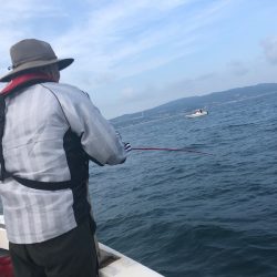 Ｖ−７ West 釣果