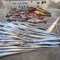 末広丸(熊本) 釣果