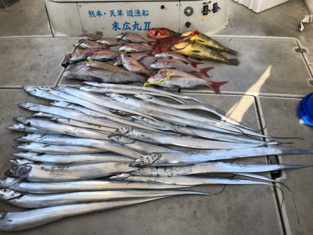 末広丸(熊本) 釣果