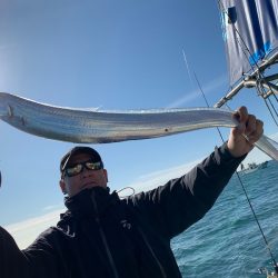 ランスルー 釣果