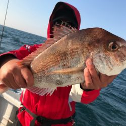 ランスルー 釣果