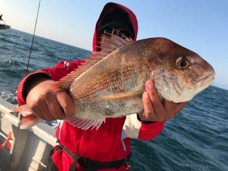 ランスルー 釣果