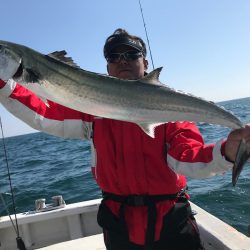 ランスルー 釣果