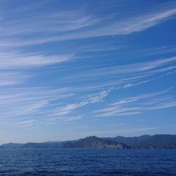 エンペラー 釣果