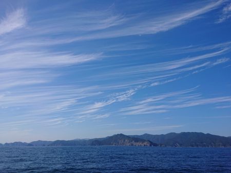 エンペラー 釣果