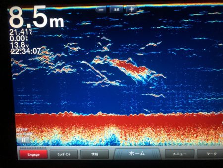 Chase(チェイス) 釣果