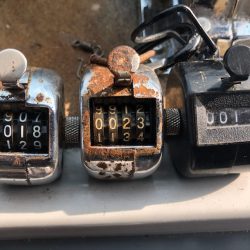 フィッシング　キッタカ 釣果