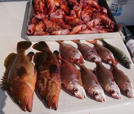 遊漁船 家入 釣果