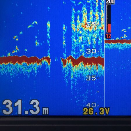 あみや渡船 JIGBOY 釣果