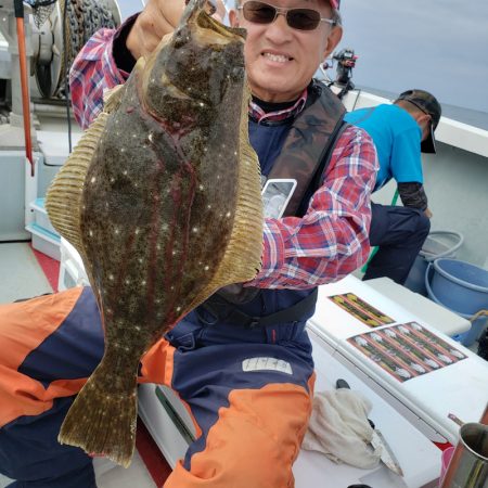 シーライオン 釣果