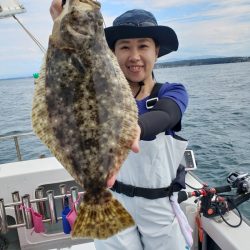 シーライオン 釣果