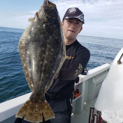 シーライオン 釣果