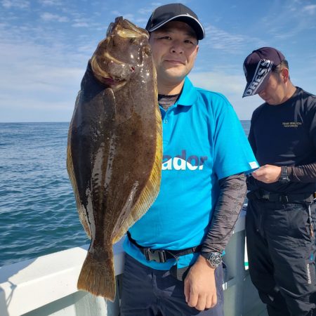 シーライオン 釣果