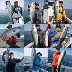 シーライオン 釣果