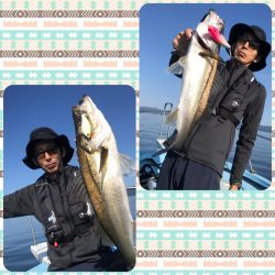 アマテラス 釣果